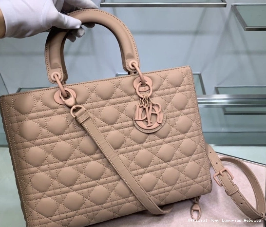 Tony Luxuries BAG diro LARGE LADY 0809